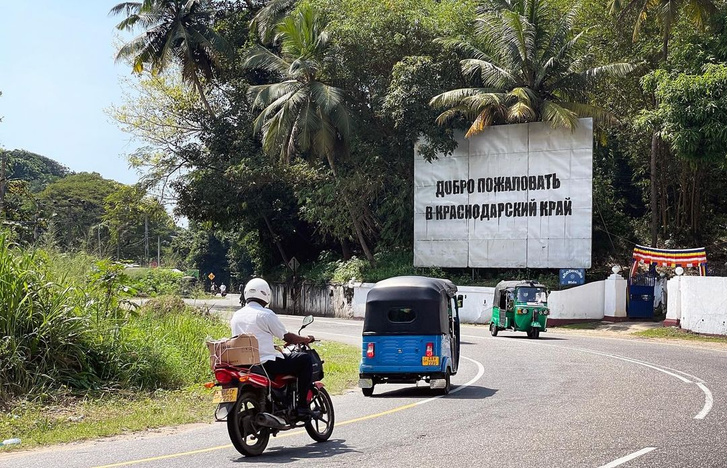 «Добро пожаловать в Краснодарский край»: на Шри-Ланке появился необычный билборд