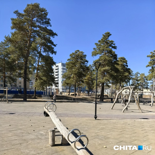 Источник: Дарья Кливенкова / CHITA.RU