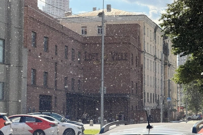 Москву засыпало тополиным пухом