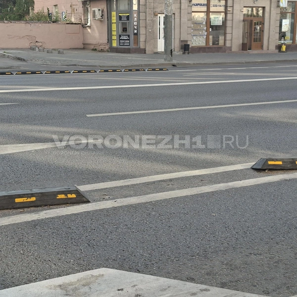 Источник: Алёна Воропаева / Voronezh1.ru