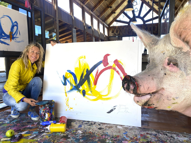 Пигкассо: 7 фото свиньи-художницы, удивившей этот мир