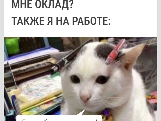 Причины неясны | Источник: Городские медиа