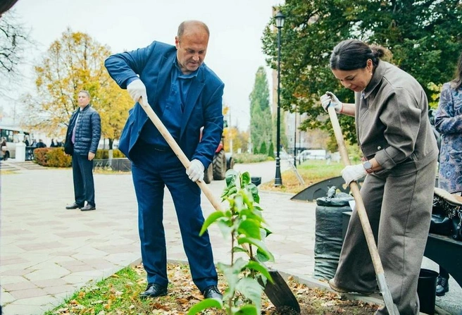 Город становится зеленее | Источник: Сайт администрации Рязани