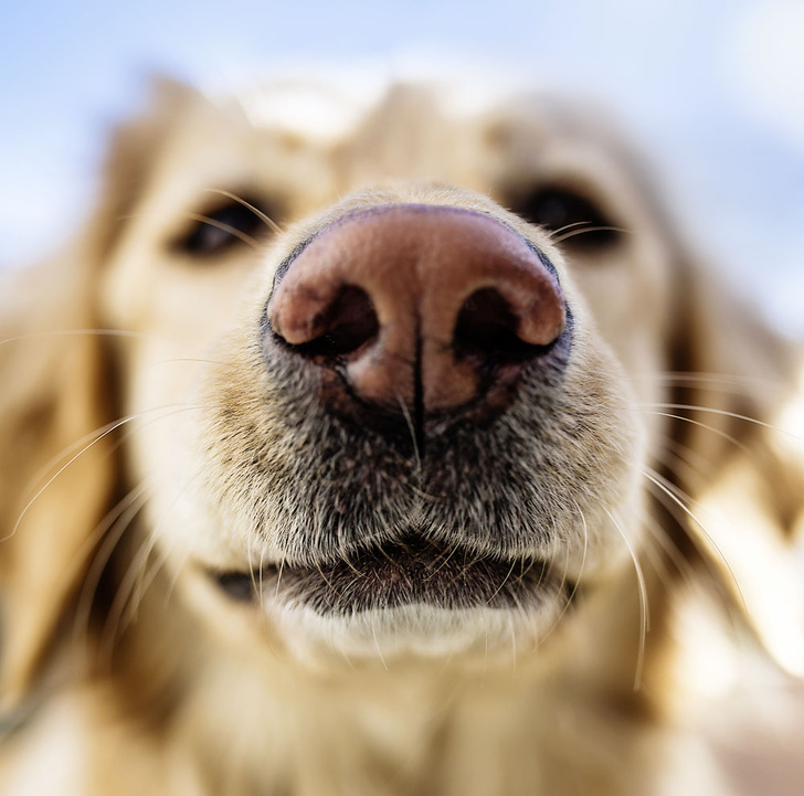 iStock