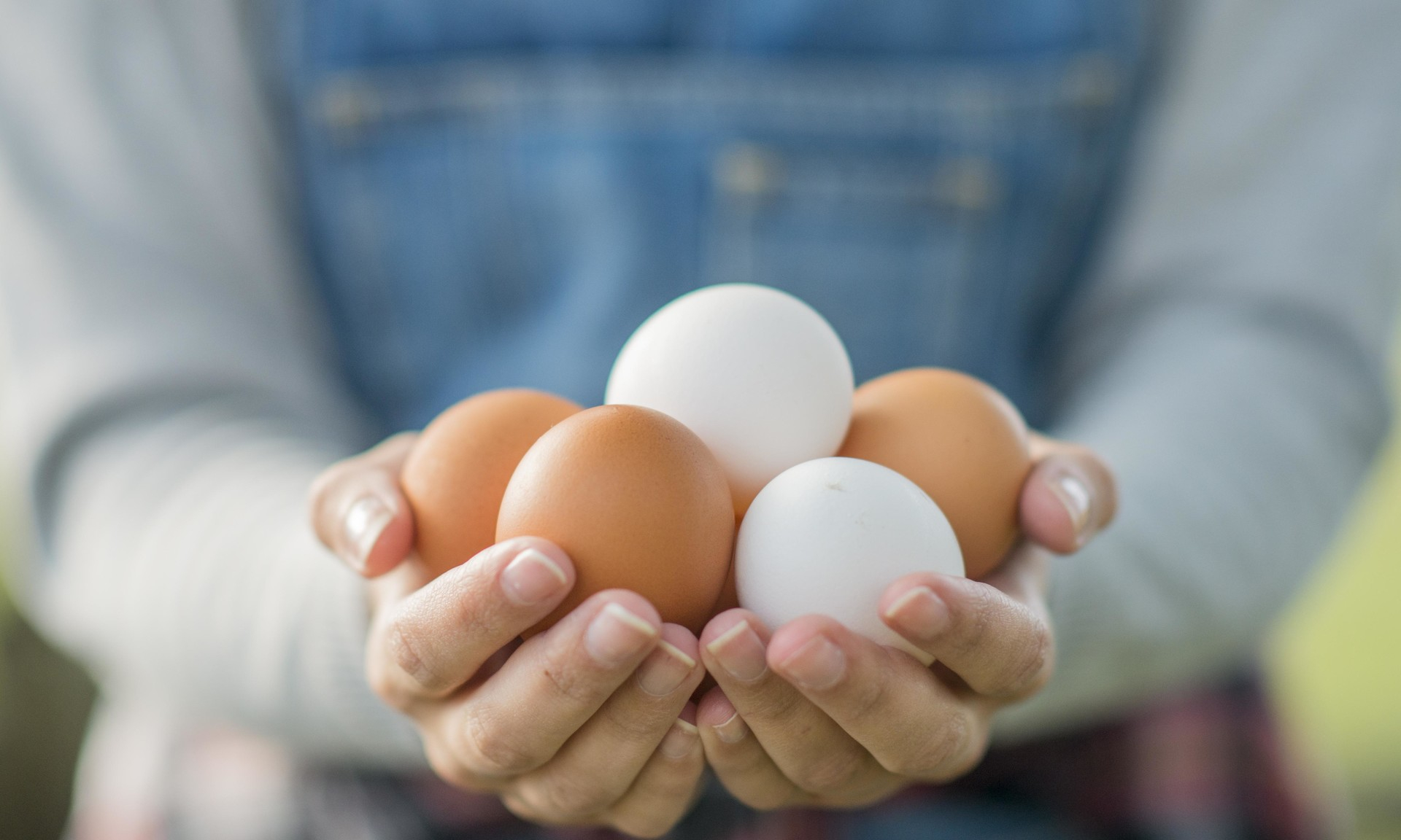 Мыть или не мыть: почему нельзя варить куриные яйца сразу из упаковки