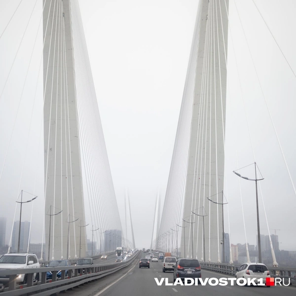 Источник: Елена Буйвол / VLADIVOSTOK1.RU