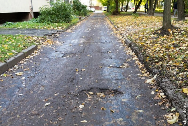 Источник: st.cherinfo.ru
