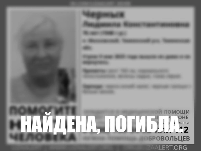 Источник: Поисковый отряд «ЛизаАлерт» Тюменской области / Vk.com