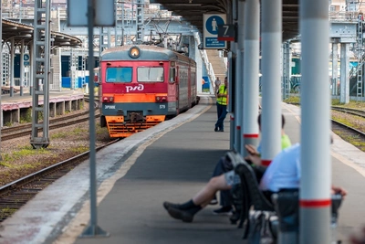В Забайкалье в поезде перевозили суриката, шиншиллу и ящерицу