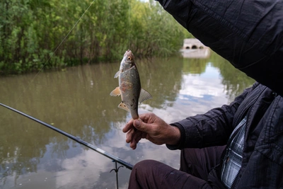 В Самарской области запретят ловлю рыбы с лодки