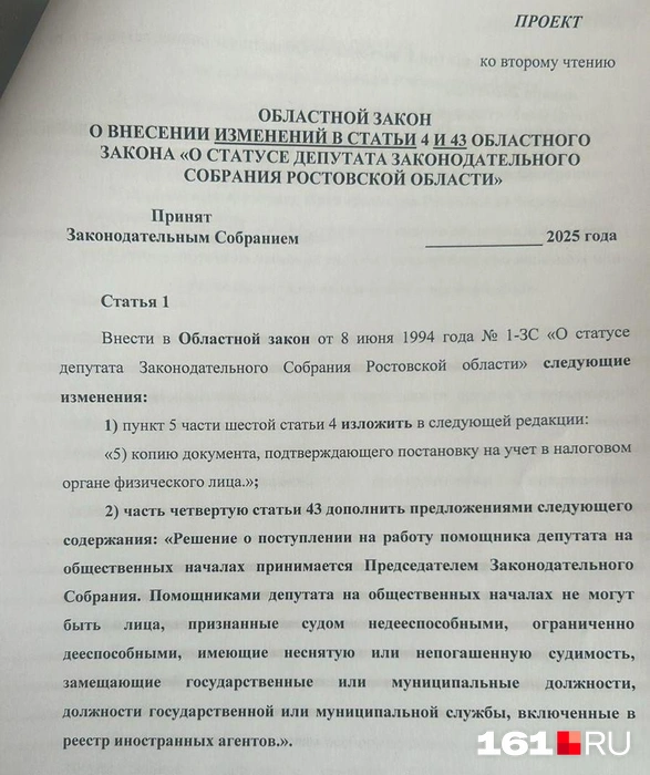 Вышеуказанные изменения, по мнению депутатов, противоречат нормам ФЗ «О политических партиях», ФЗ «Об общих принципах организации местного самоуправления в Российской Федерации» и иным нормам федерального законодательства | Источник: предоставлено Натальей Оськиной