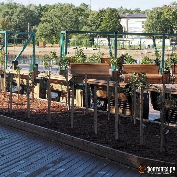 Зонирование пространства выполнили в том числе с помощью лип и сиреней | Источник: Михаил Огнев / FONTANKA.RU