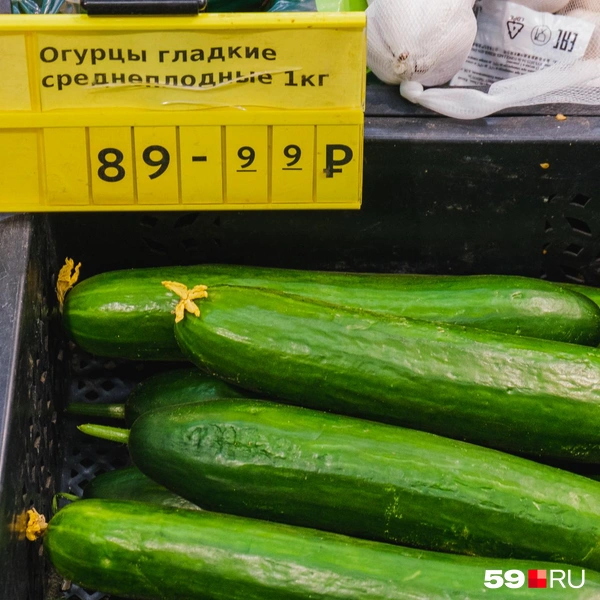 Источник: Тимофей Калмаков / 59.RU