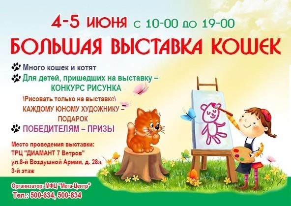 Волгоградцев приглашают на выставку кошек | v1.ru