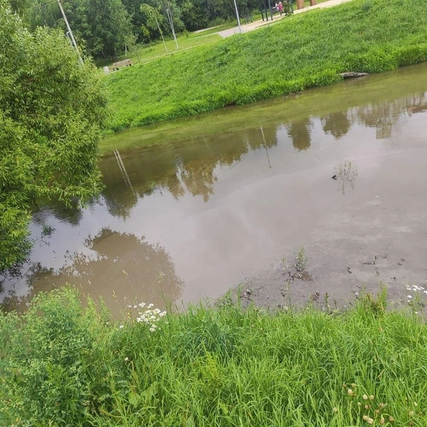 На кадрах видно, что вода в реке окрасилась в коричневый | Источник: Troitsk City / Telegram