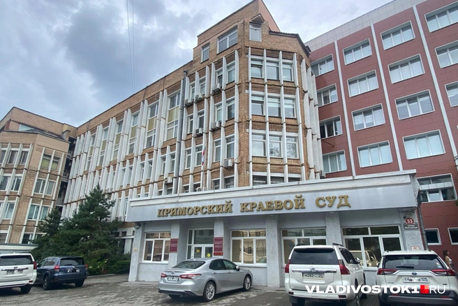Среди ответчиков по делу: сестра бывшего мэра, его мать, Евгения Забелина и еще 24 компании | Источник: Елена Буйвол / VLADIVOSTOK1.RU
