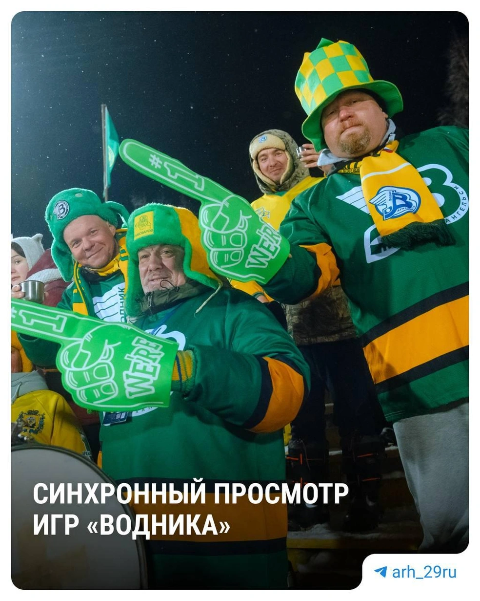 Источник: Анастасия Гусева / 29.RU