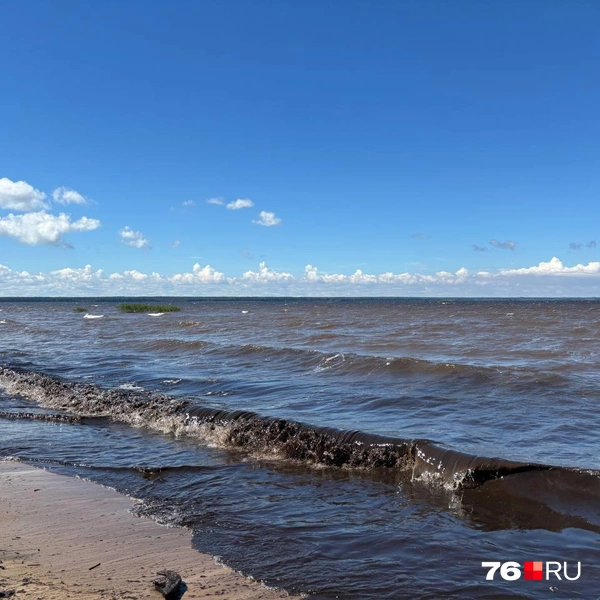 На Рыбинском море черные волны | Источник: Анастасия Вязигина / 76.RU