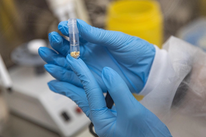 Без своевременной диагностики и лечения болезнь переходит в хроническую форму | Источник: Александр Ощепков / NGS.RU