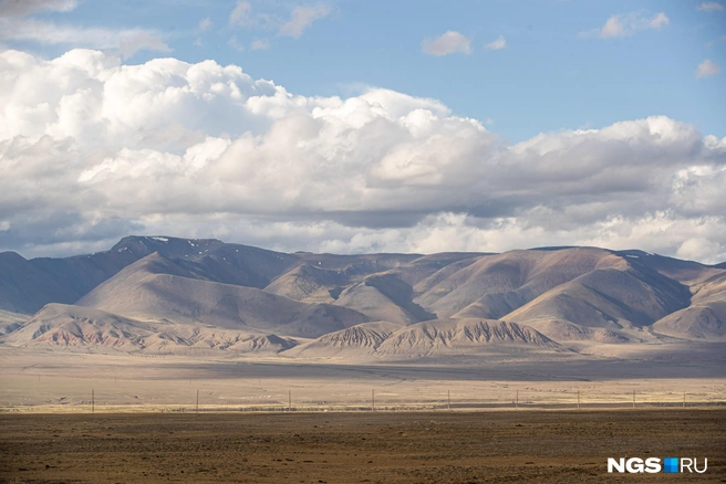 Курайская степь | Источник: Александр Ощепков / NGS.RU