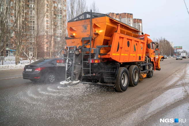 Город отказался от «Бионорда» и сейчас используют остатки реагента | Источник: Александр Ощепков / NGS.RU
