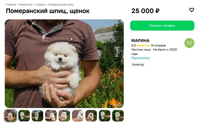Источник: «Авито»