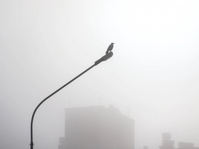 Напоминает сцену из фильма ужасов | Источник: Наталья Бурухина / NN.RU