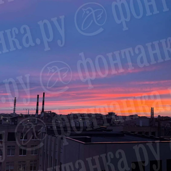 Источник: читатель «Фонтанки»