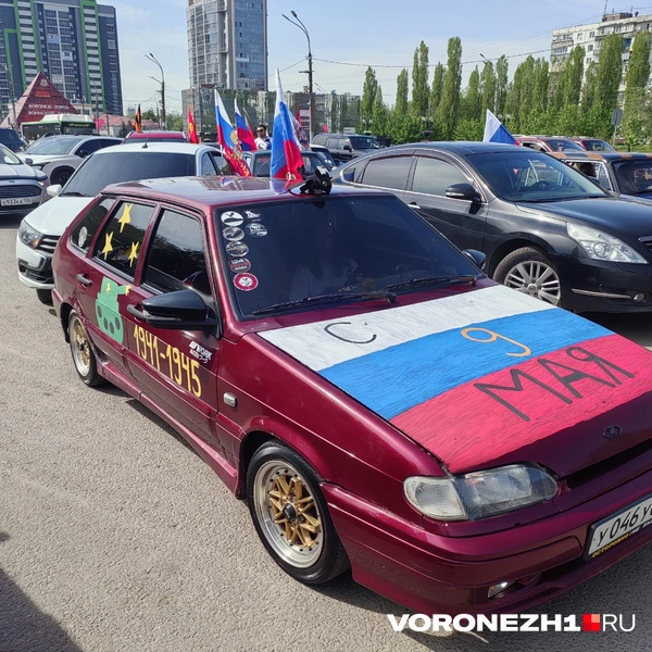 Источник: Андрей Пашинский / Voronezh1.ru