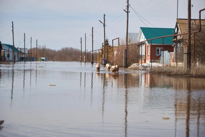 В Алтайском крае под угрозой подтопления более 300 населённых пунктов