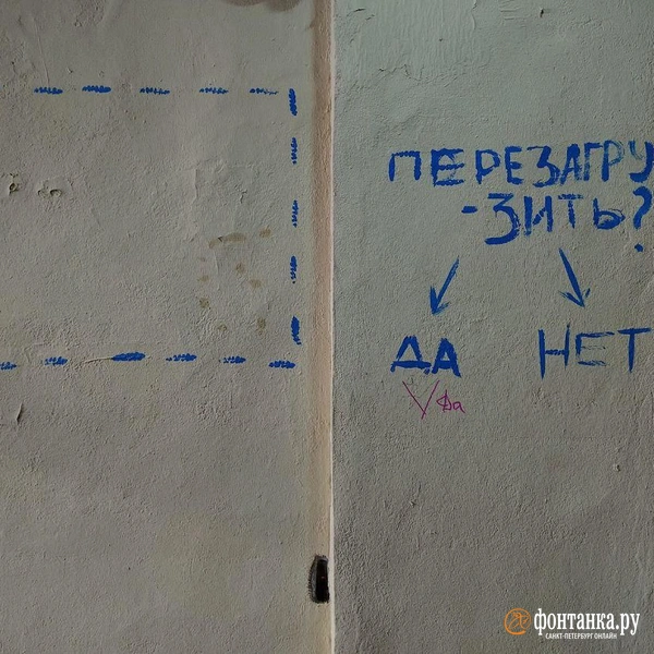 Источник: Михаил Огнев / «Фонтанка.ру»