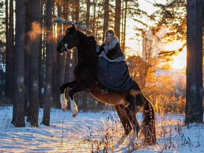 Этот конь поможет вывести фотосессию на новый уровень  | Источник: Avito 