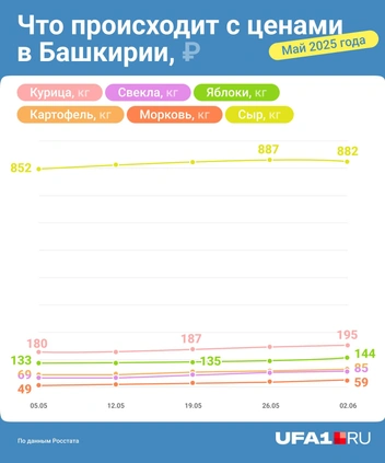 Источник: Серафима Пантыкина / Городские медиа