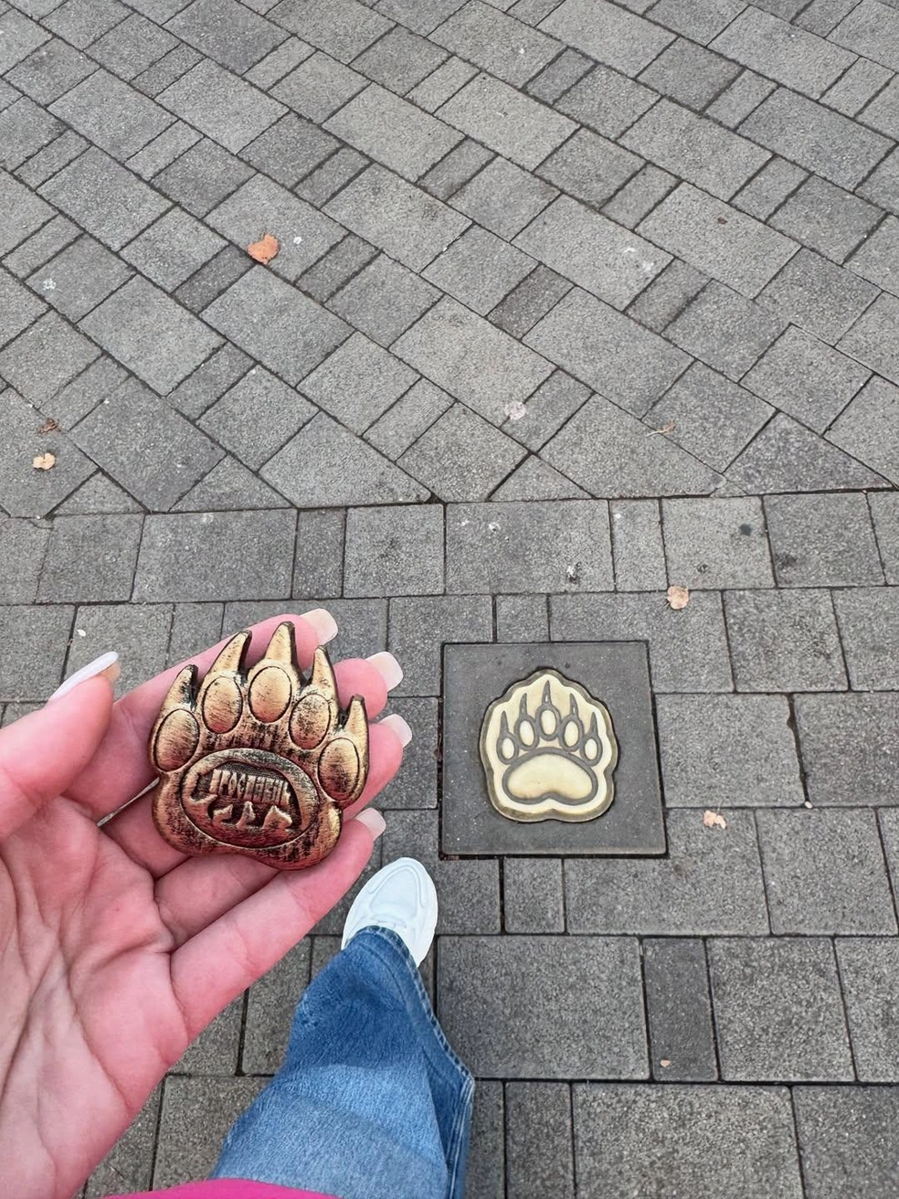 Прогулка состоялась по пешеходной тропе | Источник: galabob / Instagram (экстремистская организация, деятельность запрещена на территории РФ)