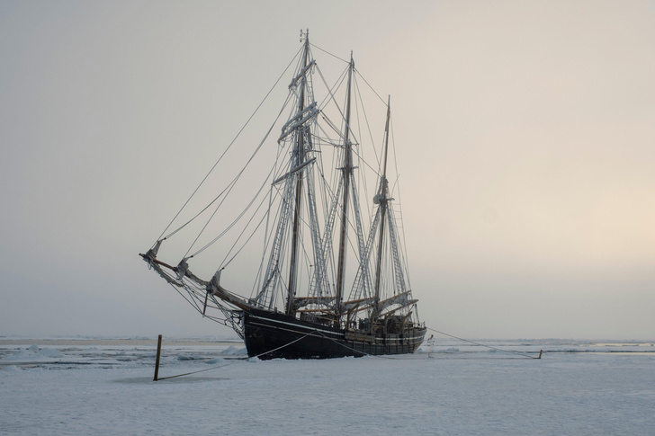 Затерянный во льдах: история корабля-призрака «Октавиус» с мертвым экипажем на борту