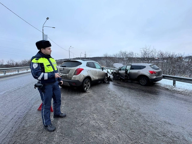 Источник: УМВД России по Мурманской области