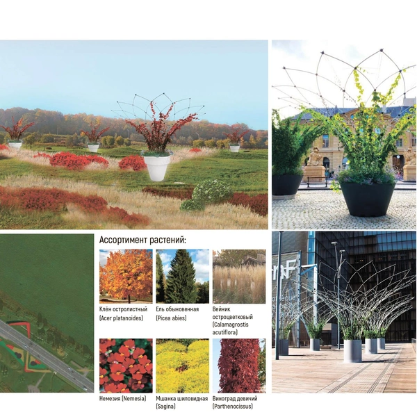 Источник: конкурсная документация