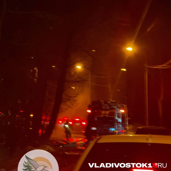 Источник: Садгород VL • Новости и события пригорода Владивостока