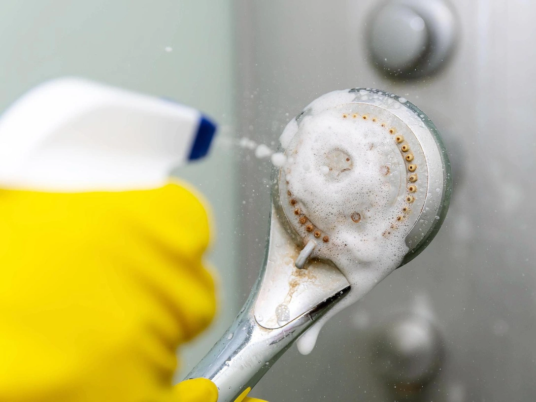 До блеска: как избавиться от налета в душе — запомните этот гениальный лайфхак | marieclaire.ru