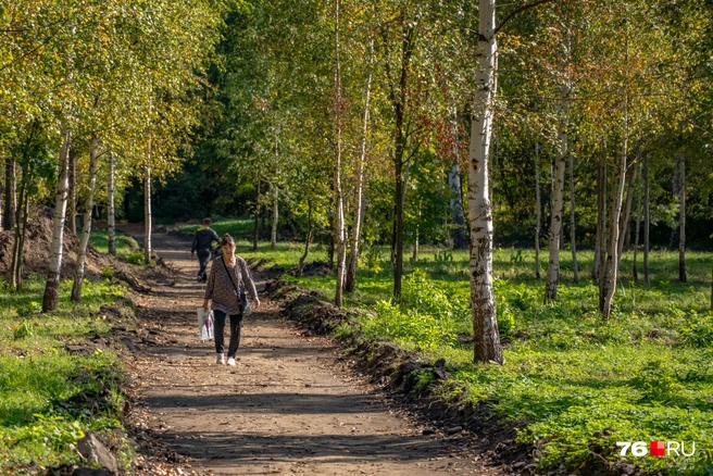 Несмотря на работы, люди подорожают гулять по парку | Источник: Кирилл Поверинов / 76.RU