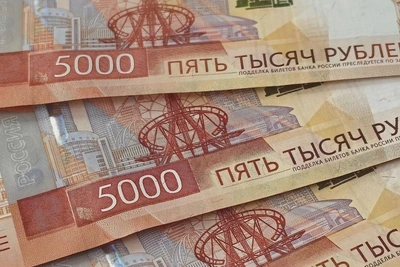 Жительница Хабаровского края отработает 20 часов за долги по алиментам