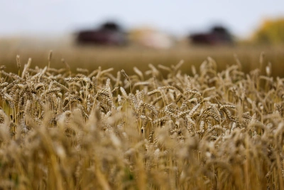 Российский ИИ-разработчик вошел в топ-5 девяти мировых рейтингов