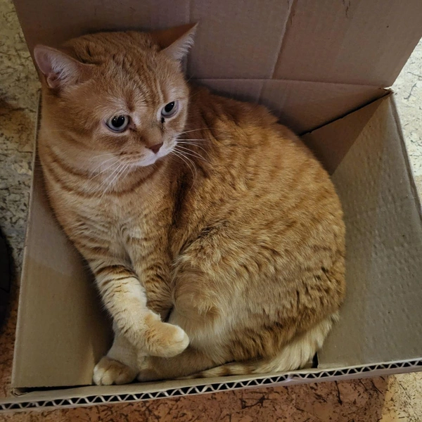 Источник: читатель НГС