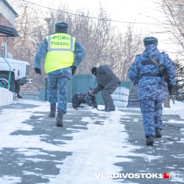 Источник: Елена Буйвол / VLADIVOSTOK1.RU