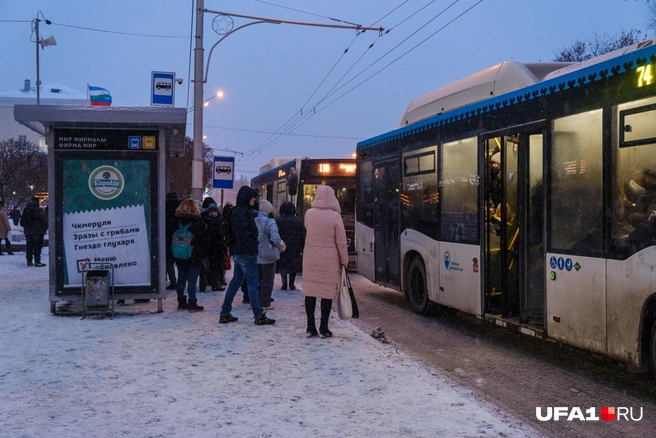 Зато в тепле доедут до дома