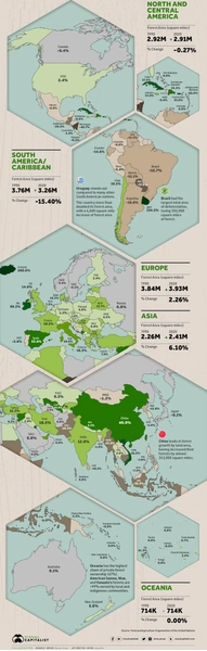 Инфографика: как изменилась площадь лесов в мире за 30 лет