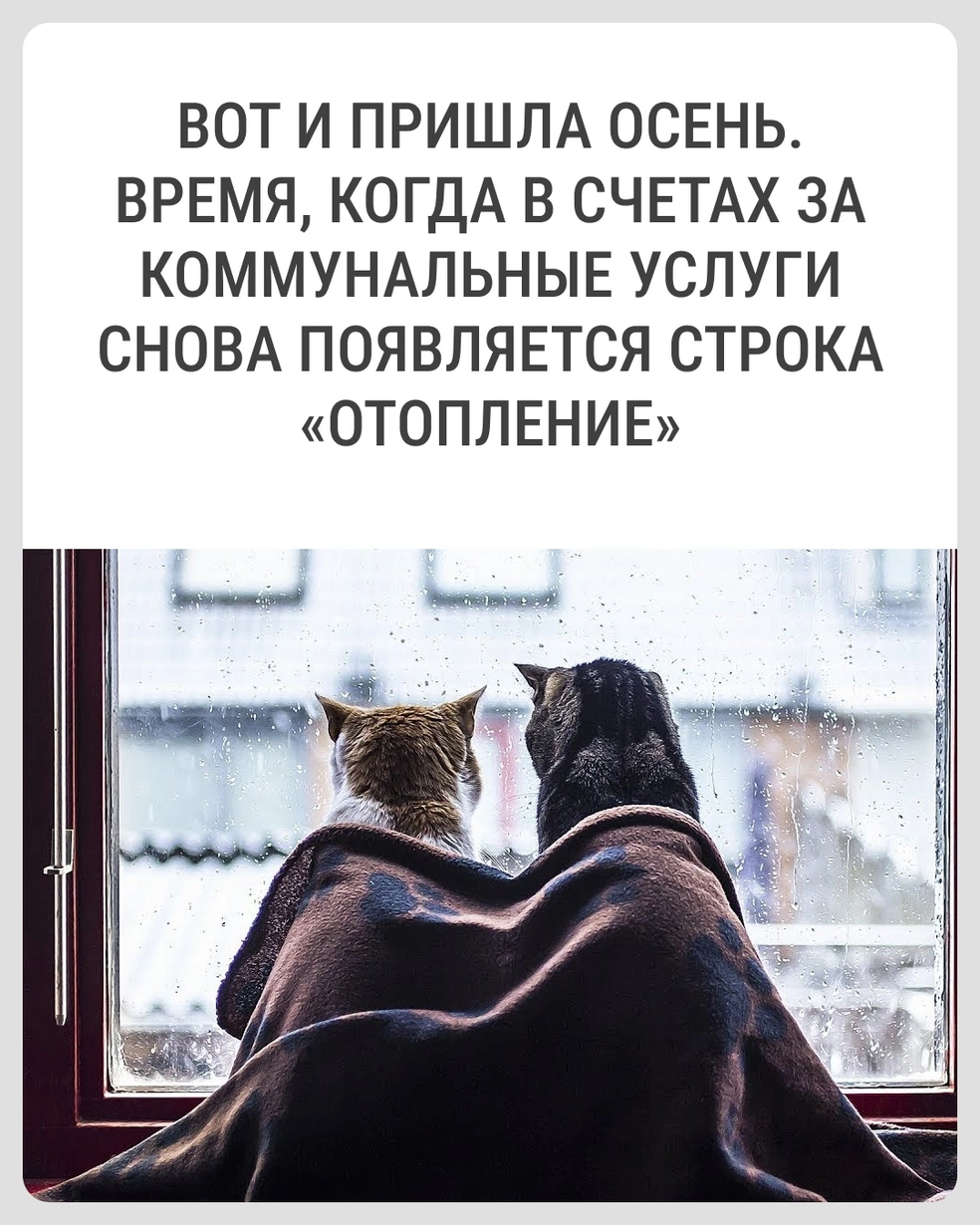 Опять это началось  | Источник: Городские медиа