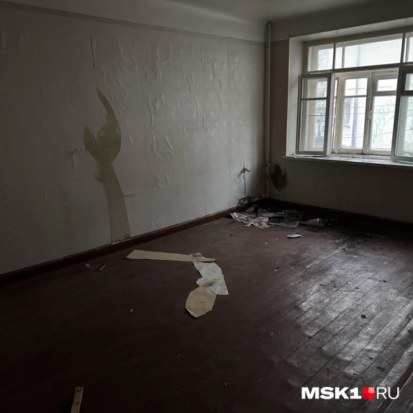 Источник: Алина Мельникова / MSK1.RU