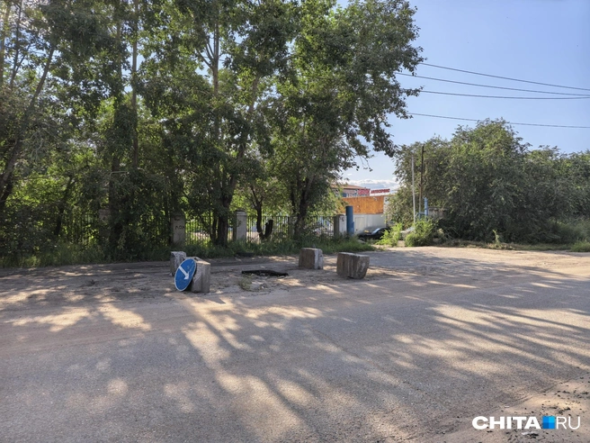 Источник: Дарья Кливенкова / CHITA.RU