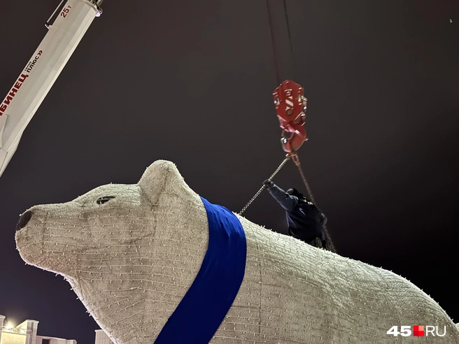 Тишка к полету готов | Источник: Юлия Король / 45.RU